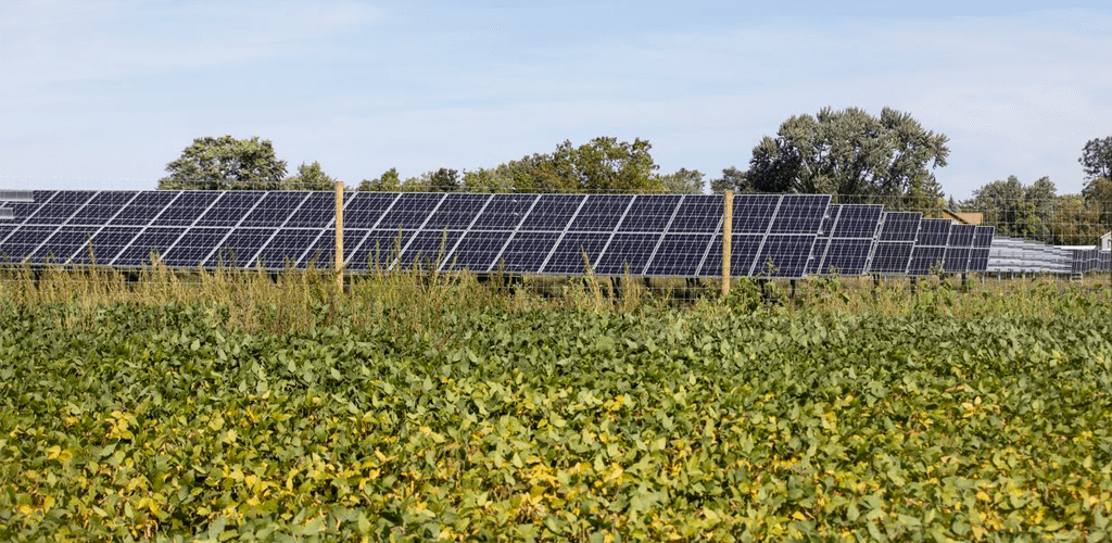 A Energia Solar vai transformar a agricultura nos próximos anos