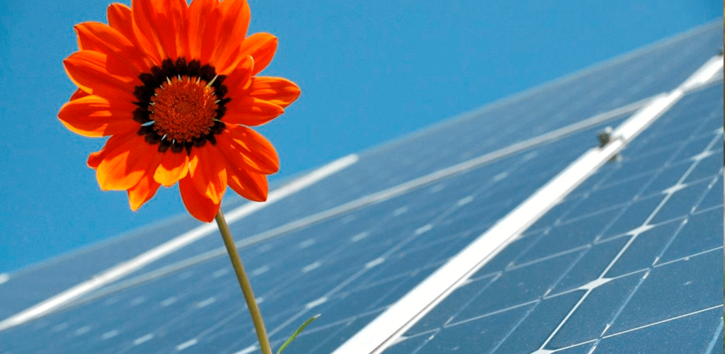 Sustentabilidade e economia captação de energia solar tem aumento expressivo no Brasil
